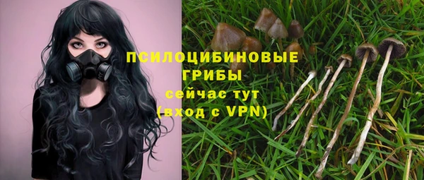 дживик Балабаново