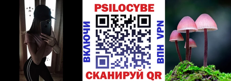 где продают наркотики  Кстово  Псилоцибиновые грибы Magic Shrooms 